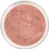 Rosa satinata Blush